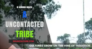 Korubo Tribe in Brazil: Uncontacted or Misunderstood Indigenous People?