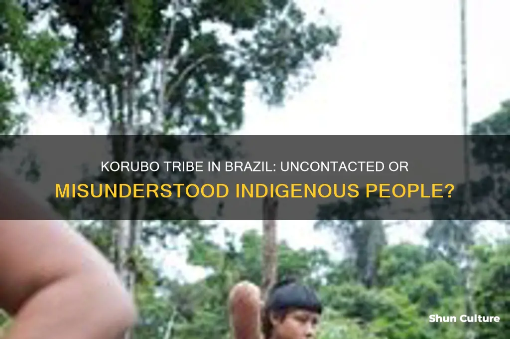 is korubo brazil a uncontacted tribe