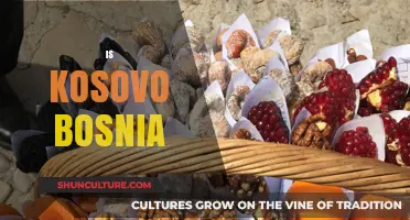 Kosovo vs. Bosnia: Unraveling the Differences and Unique Identities