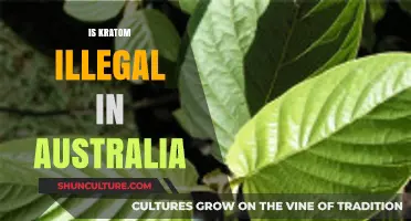 Kratom's Legal Status in Australia: What You Need to Know