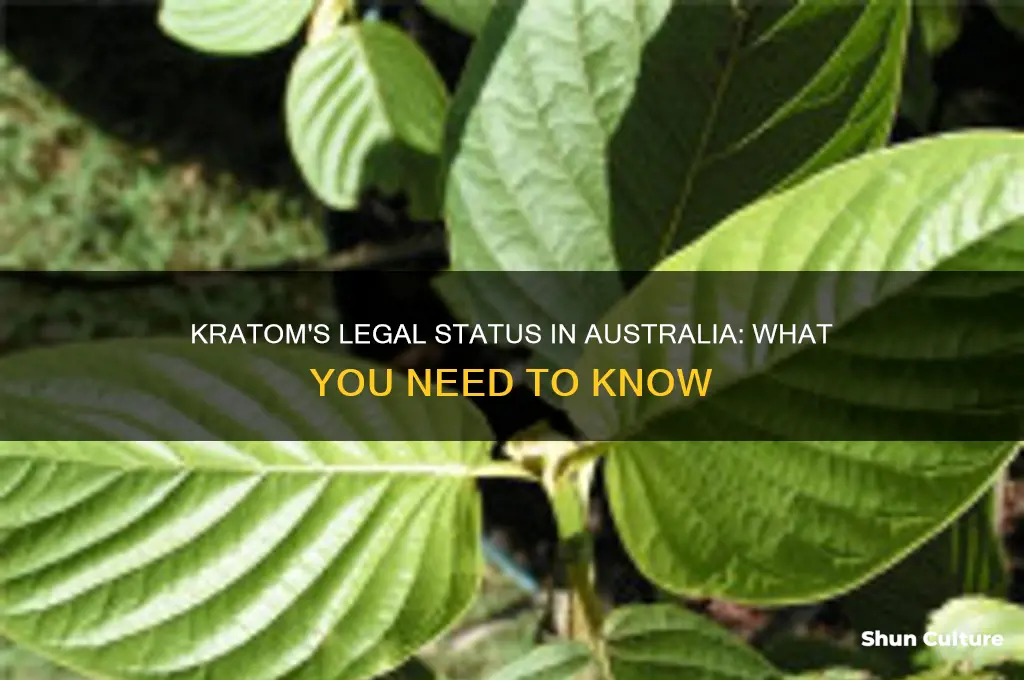 is kratom illegal in australia