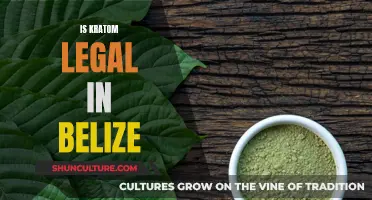 Kratom Legality in Belize: Exploring the Legal Status of Mitragyna Speciosa