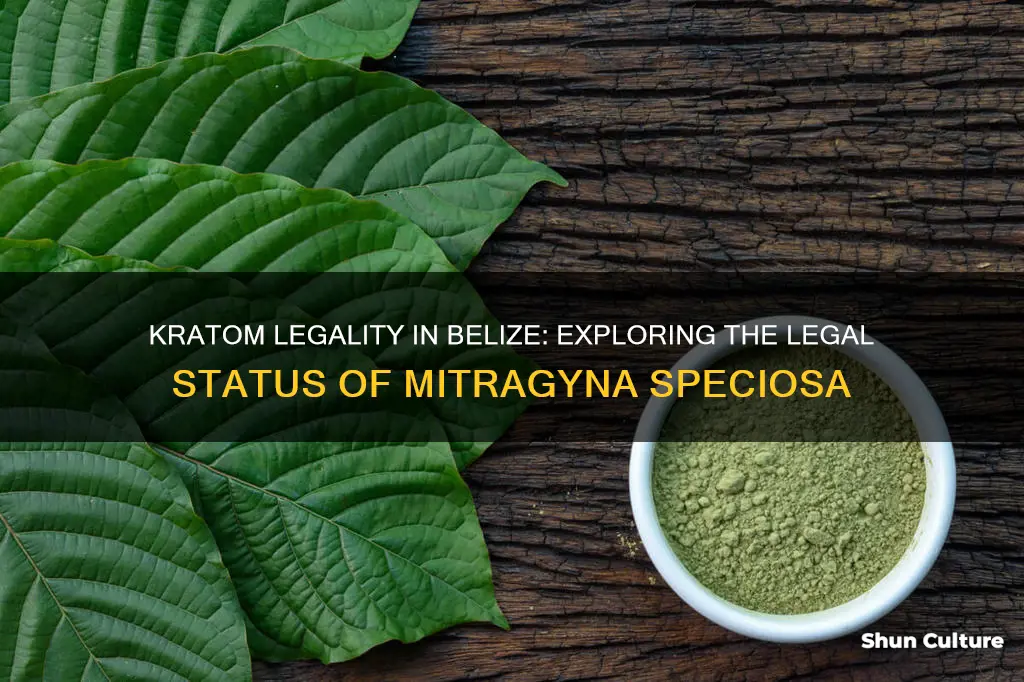 is kratom legal in belize