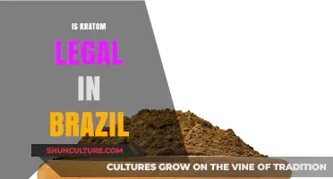 Is Kratom Legal in Brazil? Understanding Current Laws and Regulations