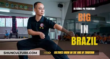 Kung Fu's Rising Popularity: Brazil's Martial Arts Scene Explored