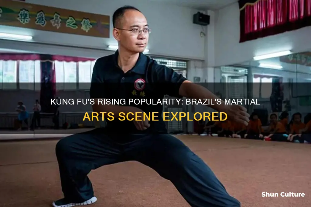 is kung fu fighting big in brazil