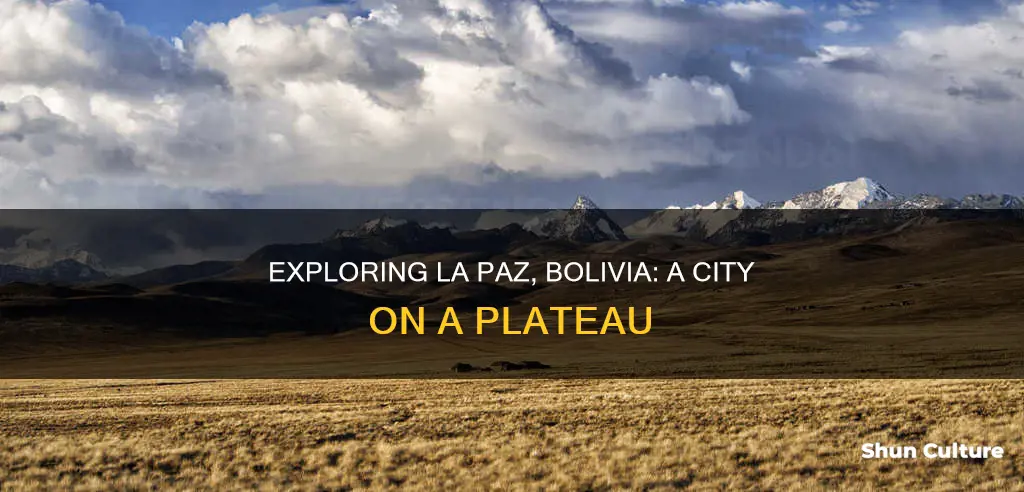 is la paz bolivia a plateau