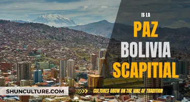 Bolivia's Capital: Is La Paz the True Capital?