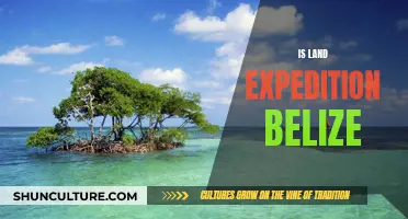 Belize: An Adventurer's Paradise for the Ultimate Land Expedition