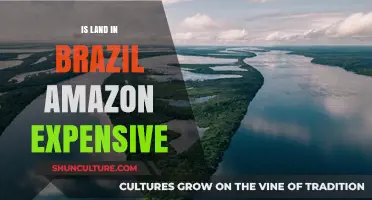 Is Amazon Land in Brazil a Costly Investment? Exploring Prices