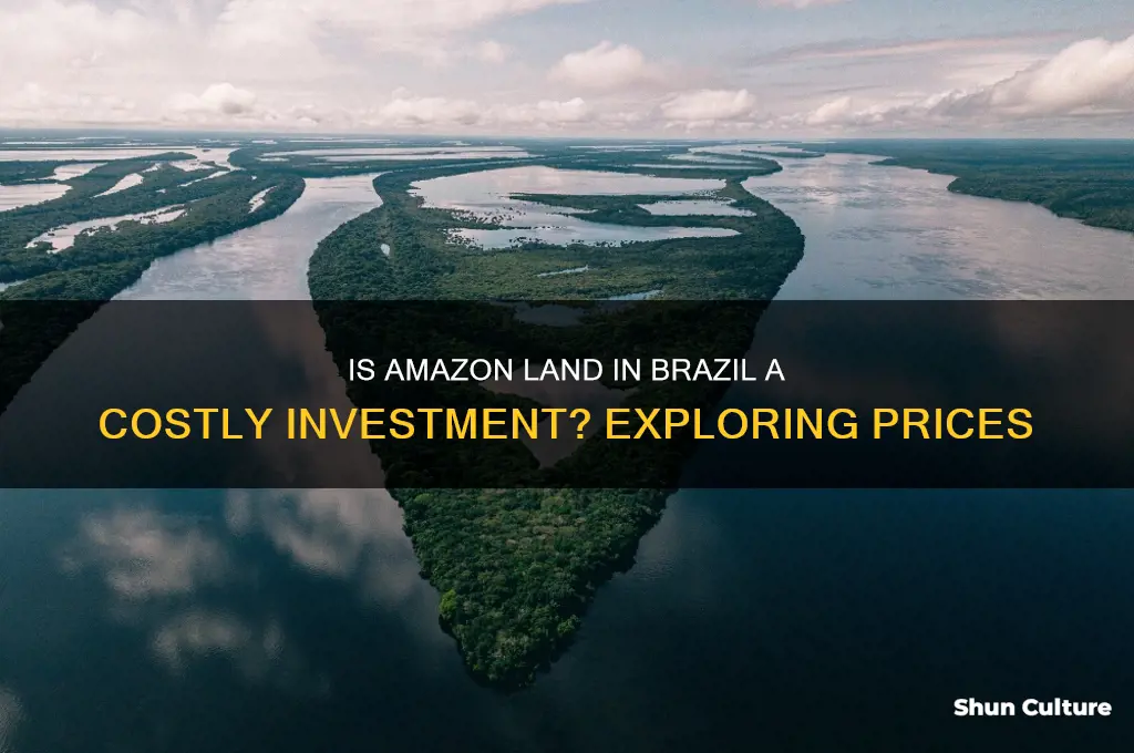 is land in brazil amazon expensive