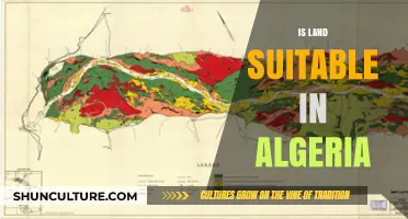 Exploring Algeria's Land Suitability: Factors, Challenges, and Opportunities