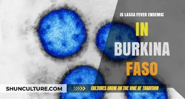 Exploring Lassa Fever's Presence in Burkina Faso: Endemic or Not?