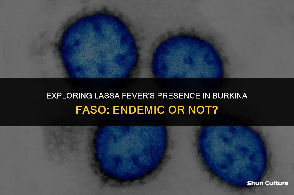 is lassa fever endemic in burkina faso
