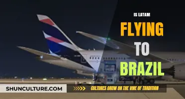 Is LATAM Flying to Brazil? Routes, Schedules, and Travel Updates