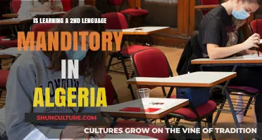 Is Bilingual Education Mandatory in Algeria? Exploring Language Policies