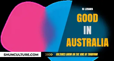 Lebara in Australia: Good or Not?