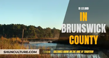Leland: Brunswick County's Gem