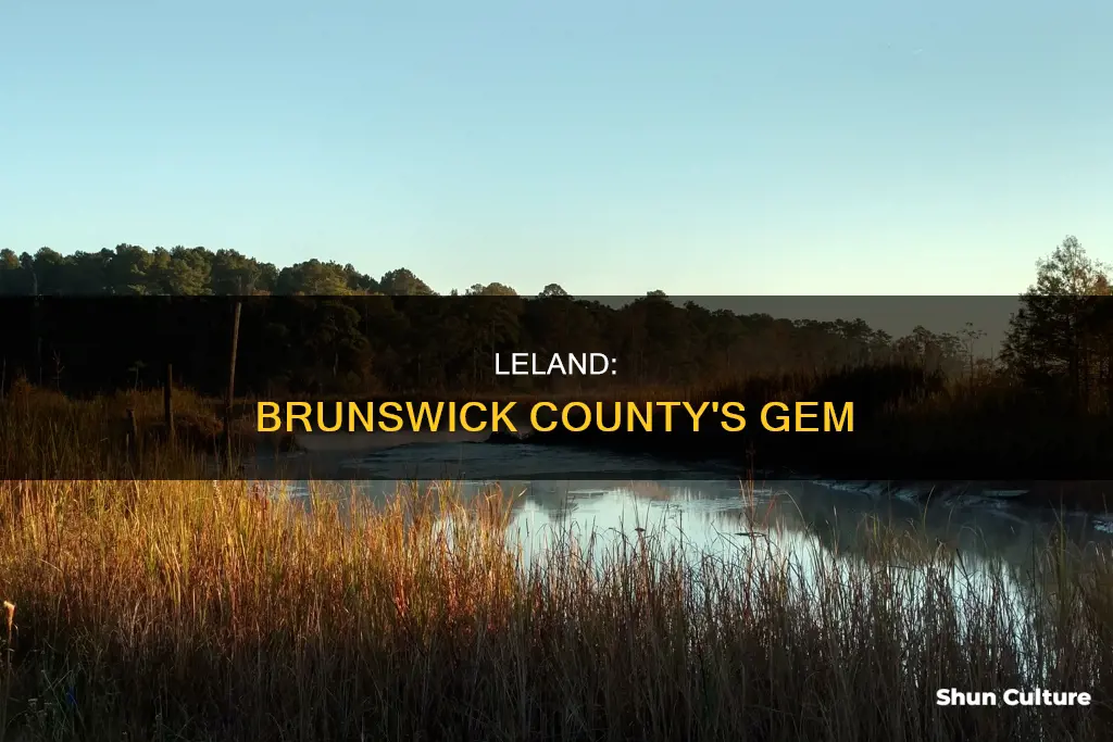 is leland in brunswick county