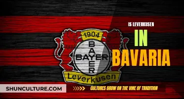 Bavaria and Leverkusen: What's the Connection?