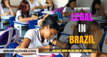LGBT Rights in Brazil: Legal Protections and Ongoing Challenges