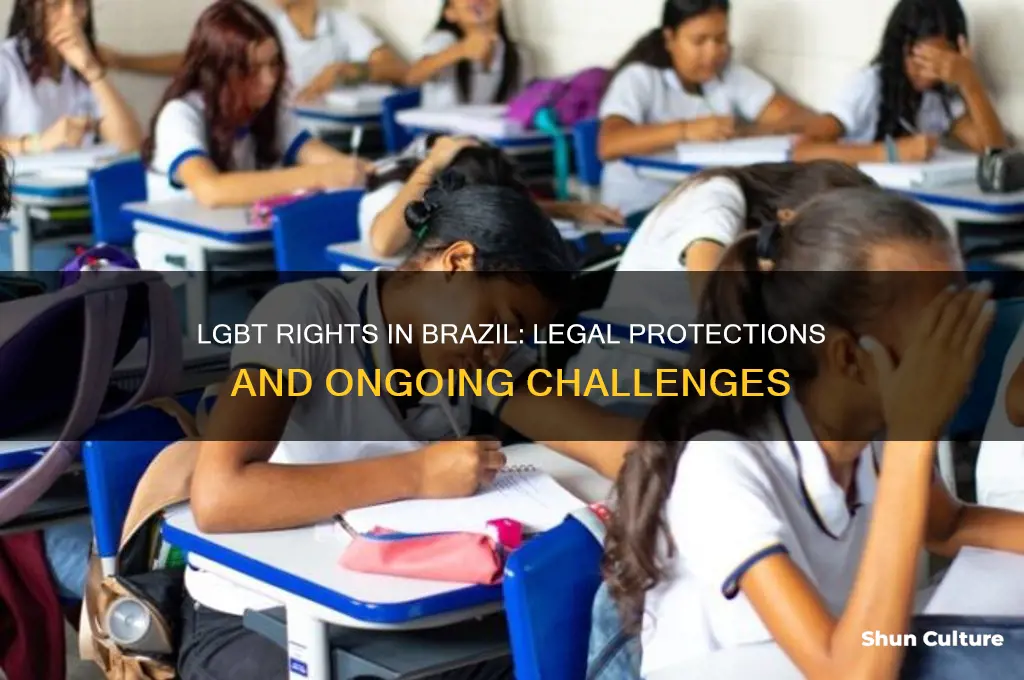 is lgbt rights legal in brazil