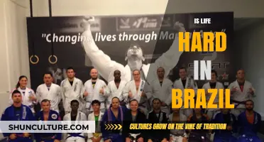 Life in Brazil: Navigating Challenges and Embracing Resilience