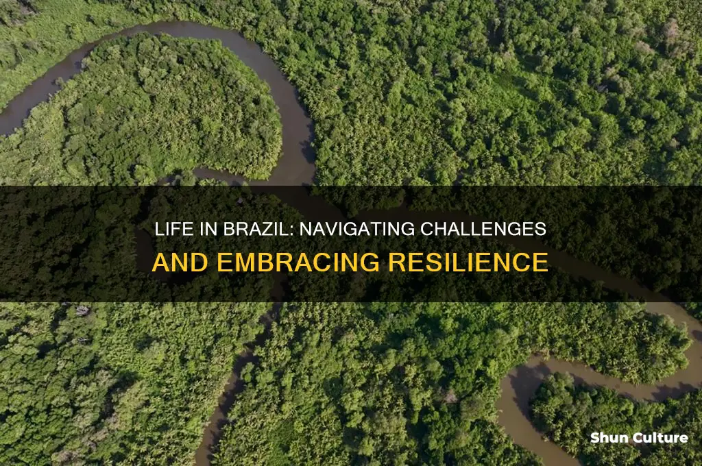 is life hard in brazil