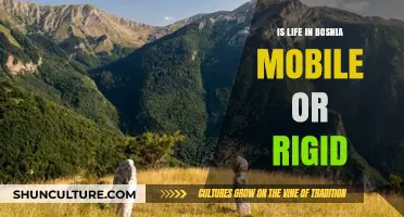 Bosnia's Lifestyle: Mobile Freedom or Rigid Traditions?