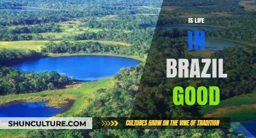 Exploring Brazil's Quality of Life: Is It Truly a Good Life?