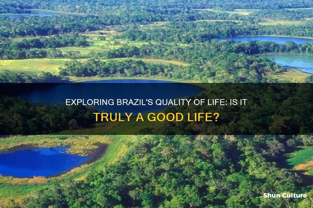 is life in brazil good
