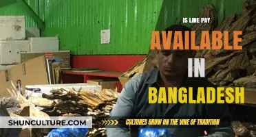 Is Line Pay Available in Bangladesh? Exploring Payment Options