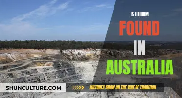 Lithium Deposits in Australia: A Natural Resource Treasure