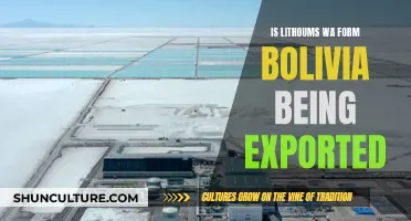 Bolivia's Lithium Wealth: Export Opportunities and Challenges