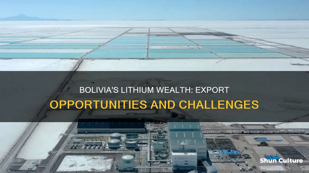 is lithoums wa form bolivia being exported