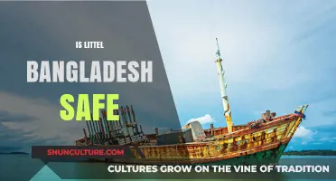 Exploring Safety in Little Bangladesh: A Comprehensive Guide for Visitors