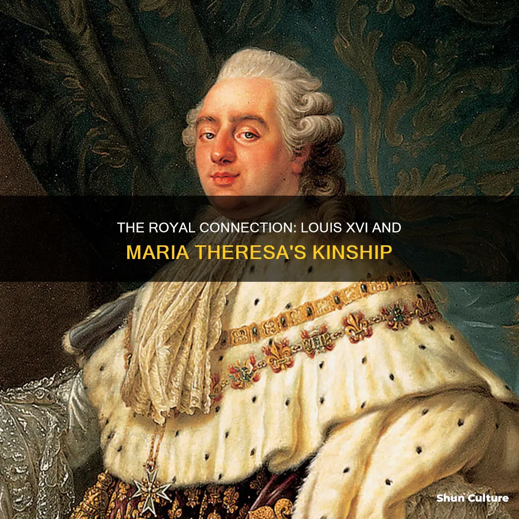 is louis 16 related to maria theresa of austria