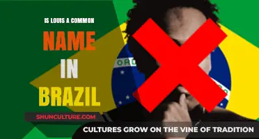Is Louis a Popular Name in Brazil? Exploring Its Usage and Frequency