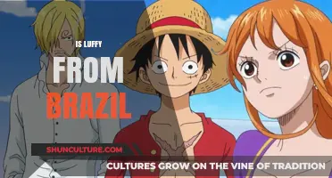 Is Luffy from Brazil? Debunking the One Piece Origin Myth