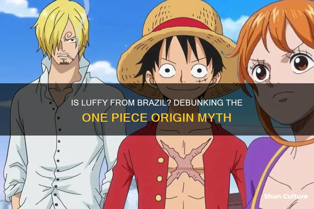 is luffy from brazil