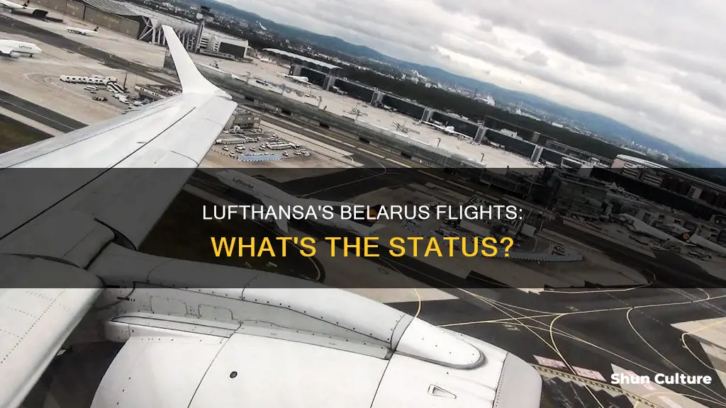 is lufthansa flying to belarus