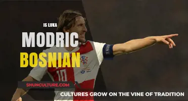 Is Luka Modrić Bosnian? Unraveling the Croatian Star's Heritage