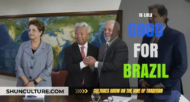 Is Lula the Right Leader for Brazil's Future?