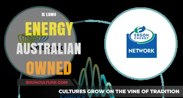 Who Owns Lumo Energy? Exploring Australian Energy Providers