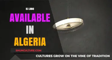 Is Luno Available in Algeria? A Comprehensive Guide for Crypto Enthusiasts