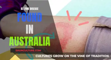 Lyme Disease in Australia: What's the Risk?