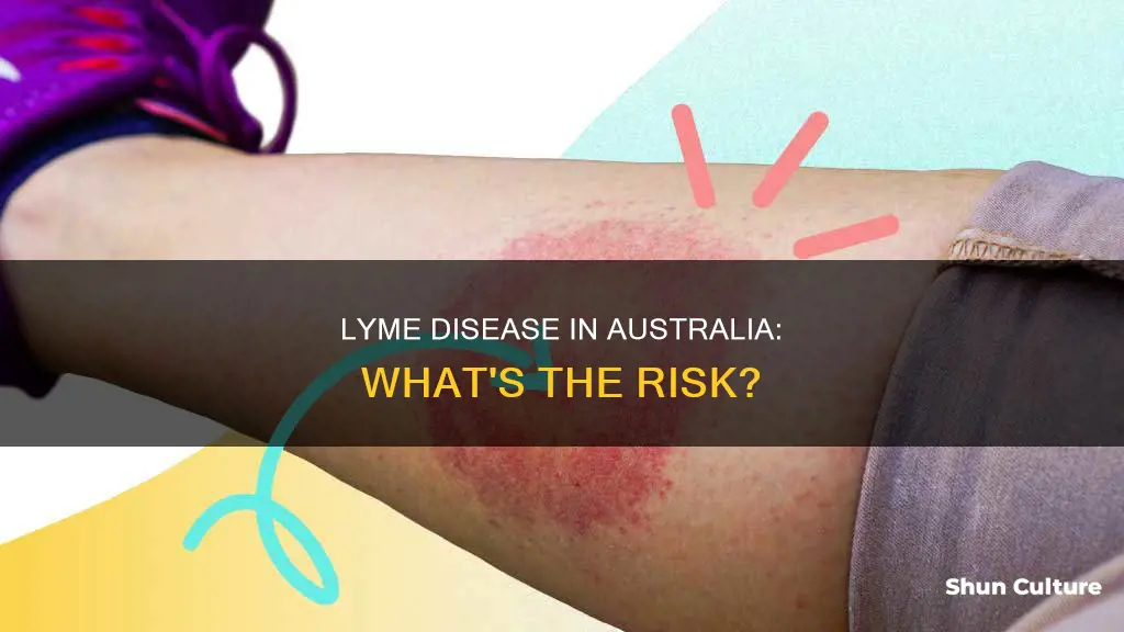 is lyme disease found in australia