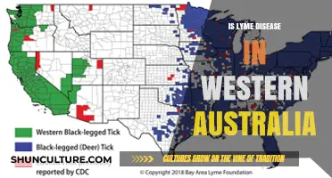 Lyme Disease: A Western Australia Concern?