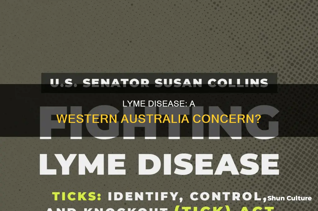 is lyme disease in western australia