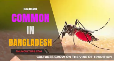 Is Malaria Common in Bangladesh? Exploring Prevalence and Prevention